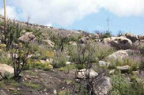 Xtrallusion photo library of independent, self-guided walking and sightseeing holidays in Italy. Pictures, images, photos and photographs taken along the way of this 1-day walking itinerary, to give you a visual impression of the day's walk.